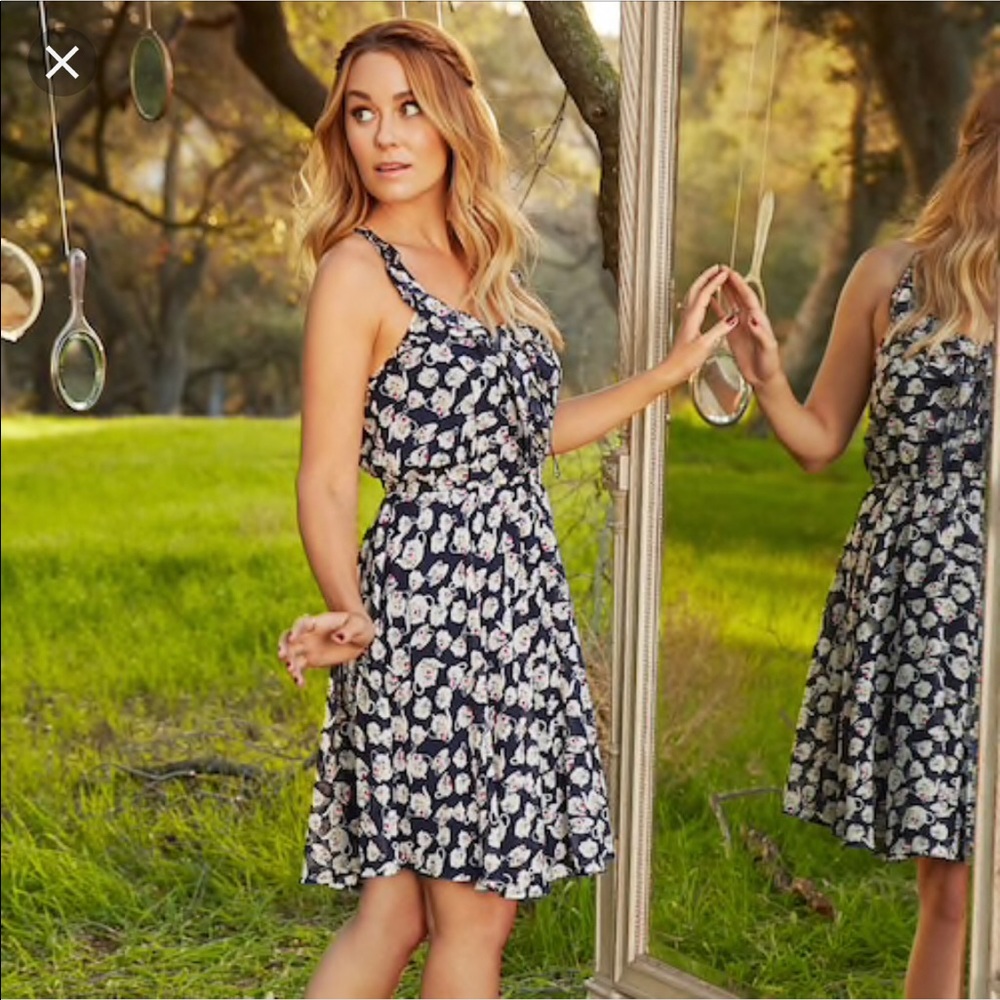 Disney Lauren Conrad Teacup Dress Alice Wonderland